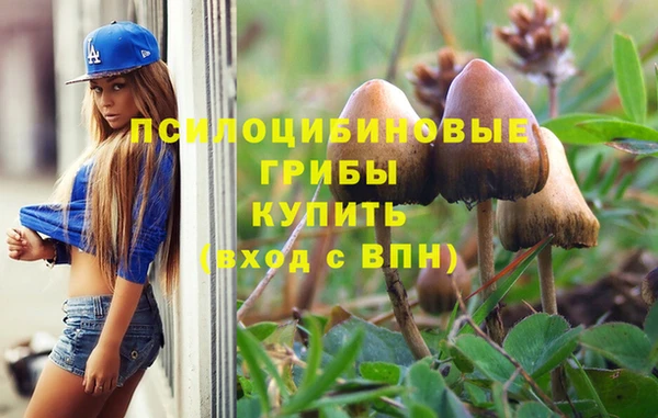 ALPHA-PVP Туринск