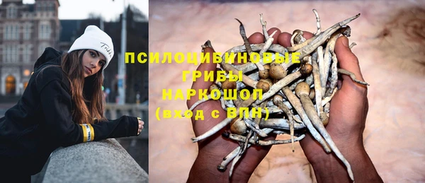 ГАЛЛЮЦИНОГЕННЫЕ ГРИБЫ Сибай