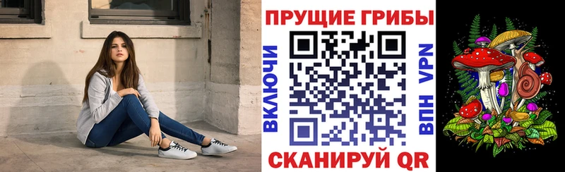 сколько стоит  Шебекино  Псилоцибиновые грибы MAGIC MUSHROOMS 