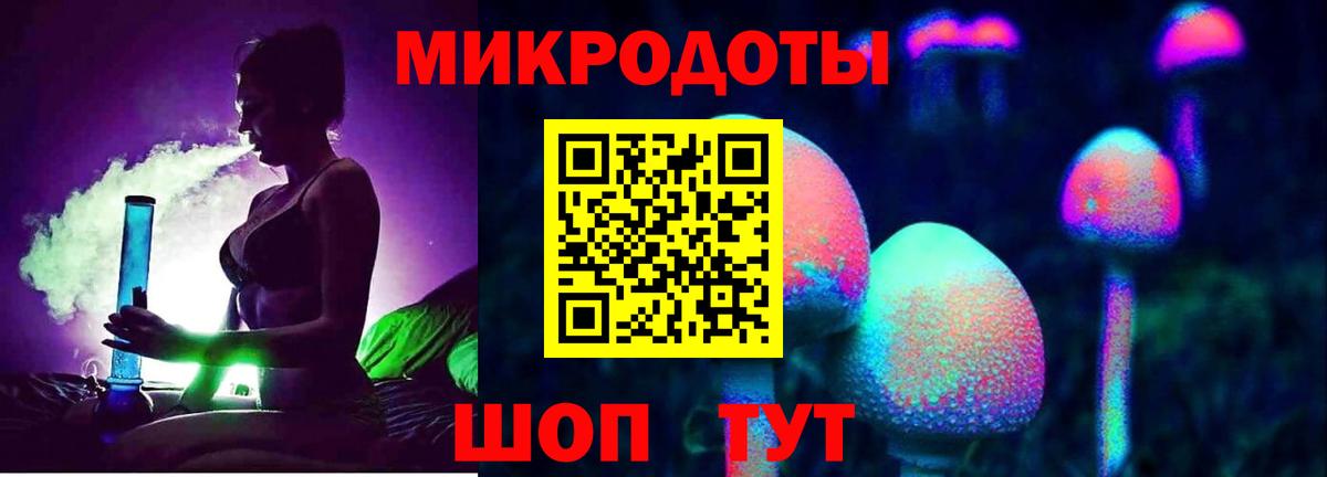 Галлюциногенные грибы Cubensis  где можно купить   Шебекино 